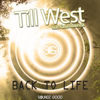 Artwork for Back To Life by Till West