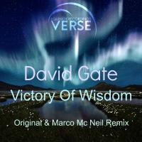 Artwork for Victory Of Wisdom by David GATE