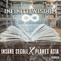 Artwork for Infinite Wisdom by Insane Segall