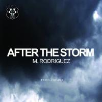 Artwork for After The Storm by M. Rodriguez