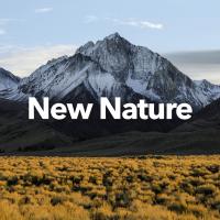 Artwork for New Nature by Nature Sounds Nature Music