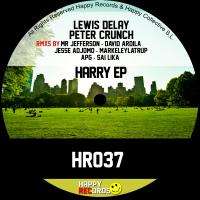 Artwork for Harry EP by Lewis Delay