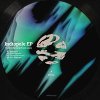 Artwork for Indiopole by Radu Mirica