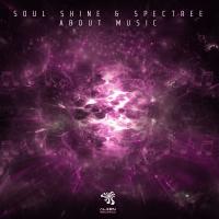 Artwork for About Music by Soul Shine