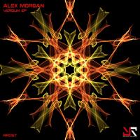 Artwork for Verdun EP by Alex Morgan