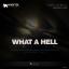 Artwork for What A Hell You Do (Original Mix)