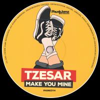 Artwork for Make You Mine by Tzesar