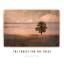Artwork for The Forest for the Trees