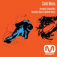Artwork for Revolution by Caleb Weiss