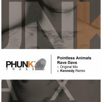 Artwork for Rave Dave by Pointless Animals