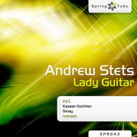 Artwork for Lady Guitar by Andrew StetS