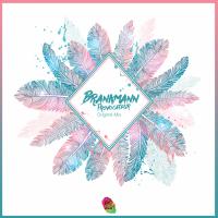 Artwork for Provocateur by Brankmann