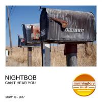 Artwork for Can't Hear You by Nightbob