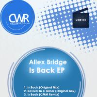 Artwork for Is Back by Allex Bridge