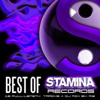 Artwork for Best Of Stamina Records by Various Artists