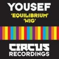 Artwork for Equilibrium by Yousef