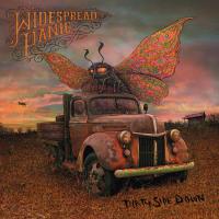 Artwork for Dirty Side Down by Widespread Panic