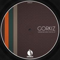 Artwork for Underground Voices by Gorkiz