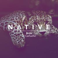 Artwork for El Cartucho by B-Liv