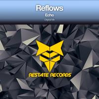 Artwork for Echo by Reflows