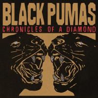 Artwork for Chronicles of a Diamond by Black Pumas