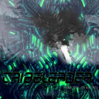 Artwork for Primitive by Tribeleader