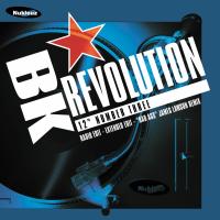 Artwork for Revolution by BK