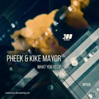 Artwork for What You Do by Pheek