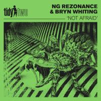 Artwork for Not Afraid by NG Rezonance