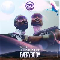 Artwork for Everybody by Hallex M