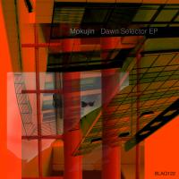 Artwork for Dawn Selector EP by Mokujin