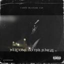 Artwork for Welcome To The Jungle (feat. Noni Picasso & Noni Spitz)