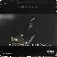 Artwork for Welcome To The Jungle (feat. Noni Picasso & Noni Spitz) by Carte Blanche YTP