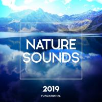 Artwork for Nature Sounds 2019 by Soothing Sounds