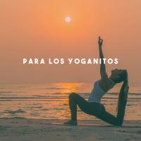 Artwork for Para Los Yoganitos by Musica Relajante