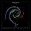 Artwork for Phyllotropis (Original Mix)