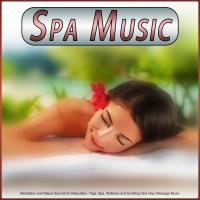 Artwork for Spa Music: Meditation and Nature Sounds for Relaxation, Yoga, Spa, Wellness and Soothing One Hour Massage Music by Spa