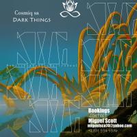 Artwork for Dark Things by Cosmiq s.a