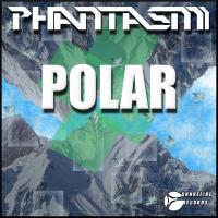 Artwork for Polar by Phantasm