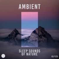Artwork for Ambient by Sleep Sounds of Nature