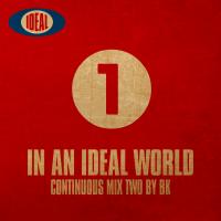 Artwork for In An Ideal World 1 by BK