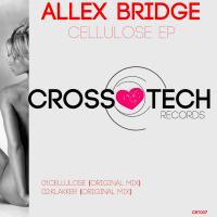 Artwork for Cellulose EP by Allex Bridge