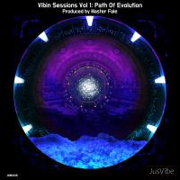 Artwork for Vibin Sessions, Vol. 1: Path Of Evolution by Master Fale