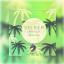 Artwork for Summer Love