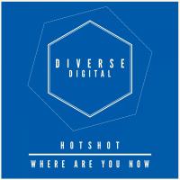 Artwork for Where Are You Now by HotShot