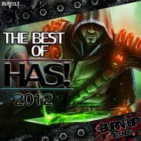 Artwork for The Best of "HAS!" 2012 by HAS!