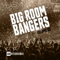 Artwork for Big Room Bangers, Vol. 09 by Various Artists