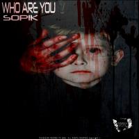 Artwork for Who Are You by Sopik