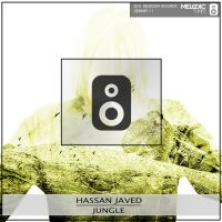 Artwork for Jungle by Hassan Javed