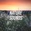 Artwork for Soothing Sounds